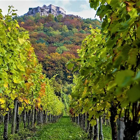 Hogh, 55qm, Terrasse * Beuren (Esslingen)