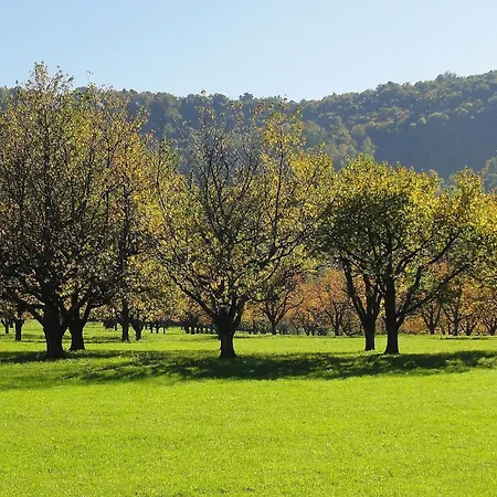 Apartamento Hogh, 55qm, Terrasse *